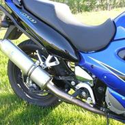 Suzuki GSX 600 F