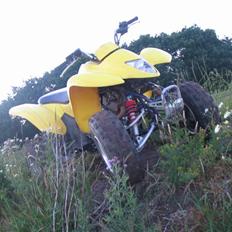 Suzuki LT-z250k7