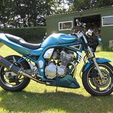 Suzuki GSF 600 Street fighter...
