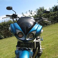 Suzuki GSF 600 Street fighter...