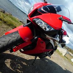 Honda CBR 600 RR