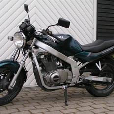 Suzuki GS 500 EU