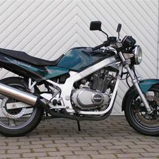 Suzuki GS 500 EU