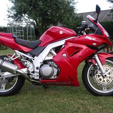 Suzuki  "SOLGT" SV1000S