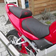 Suzuki  "SOLGT" SV1000S