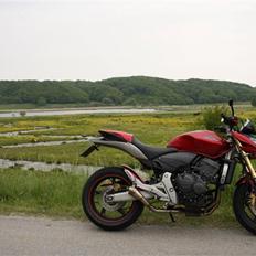 Honda CB600F PC41 Hornet