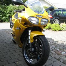 Triumph T595