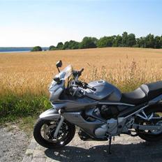 Suzuki GSF 650 Bandit