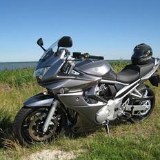 Suzuki GSF 650 Bandit