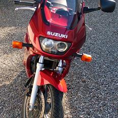 Suzuki GS500E