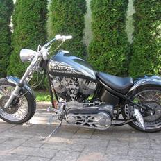 Harley Davidson Chopper