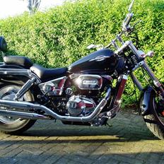 Suzuki VZ800 Marauder (SOLGT)