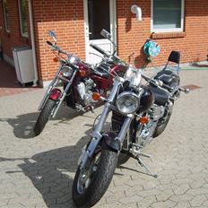 Suzuki vz 800