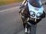 Kawasaki ZX7R Ninja (solgt)