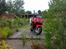 Honda CBR 600F Sport R.I.P.