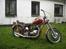 Triumph tiger 100 ss    