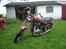 Triumph tiger 100 ss    