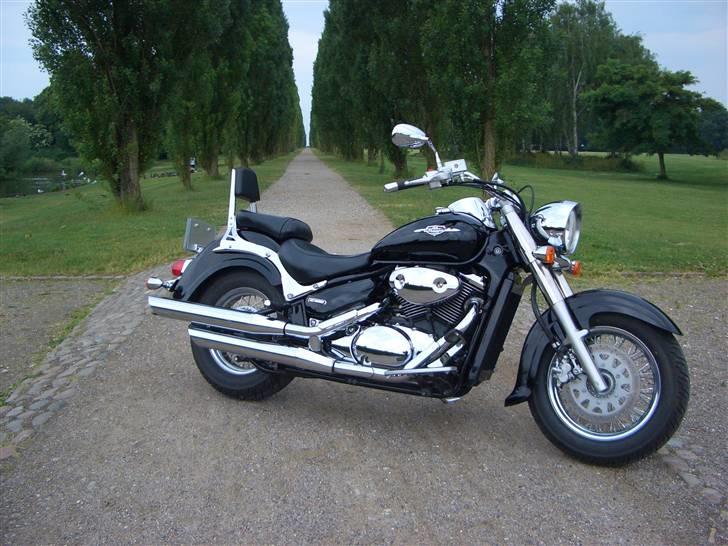 Suzuki VL 800 billede 4