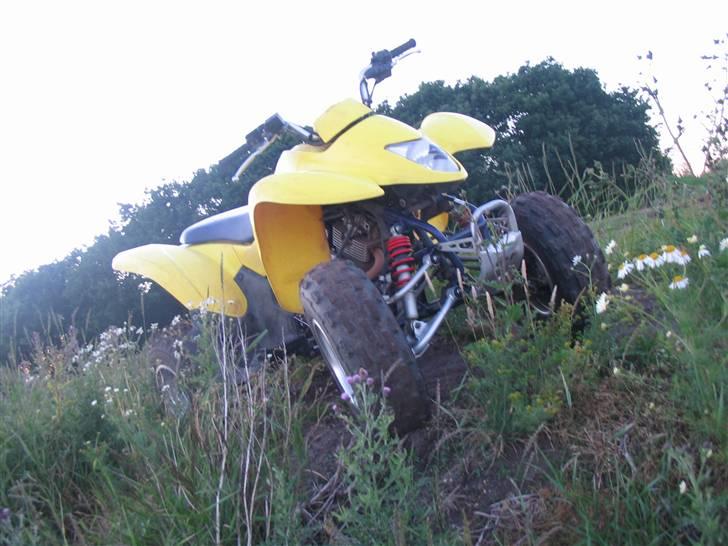 Suzuki LT-z250k7 billede 1
