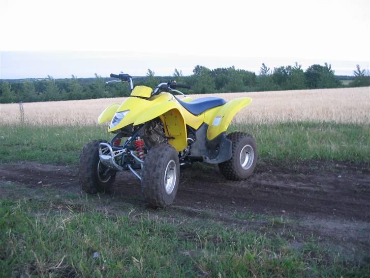 Suzuki LT-z250k7 billede 2