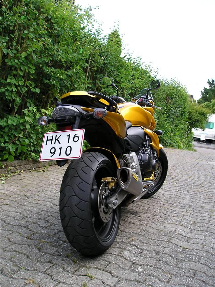 Honda CB600 hornet  billede 3