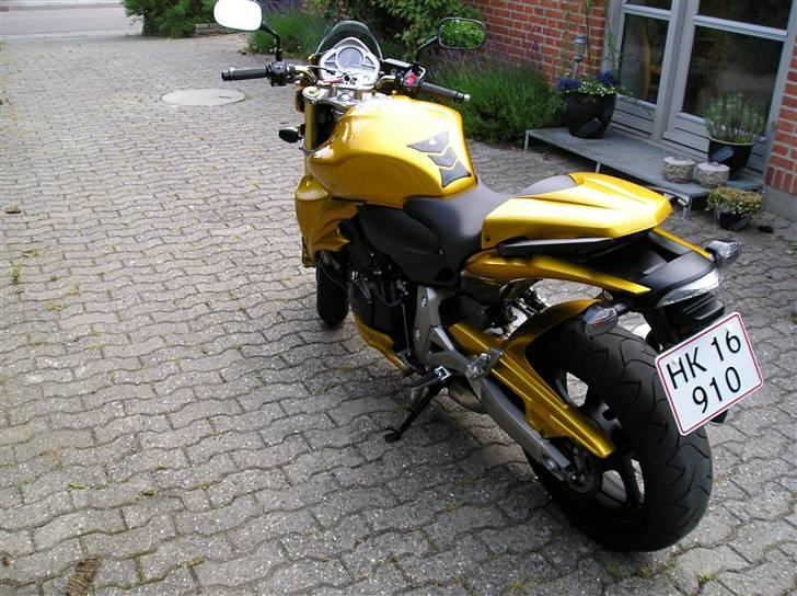 Honda CB600 hornet  billede 5