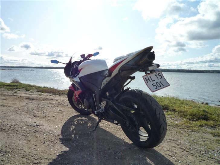 Honda CBR 600 RR billede 2