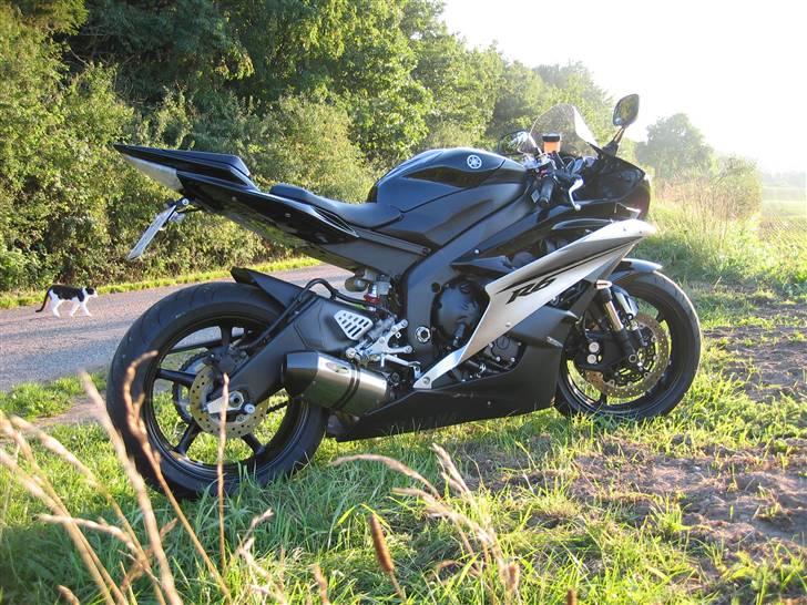 Yamaha YZF R6 billede 2