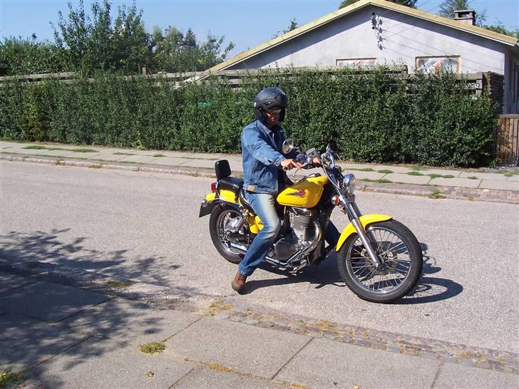 Suzuki Ls650 Savage [Solgt] billede 5