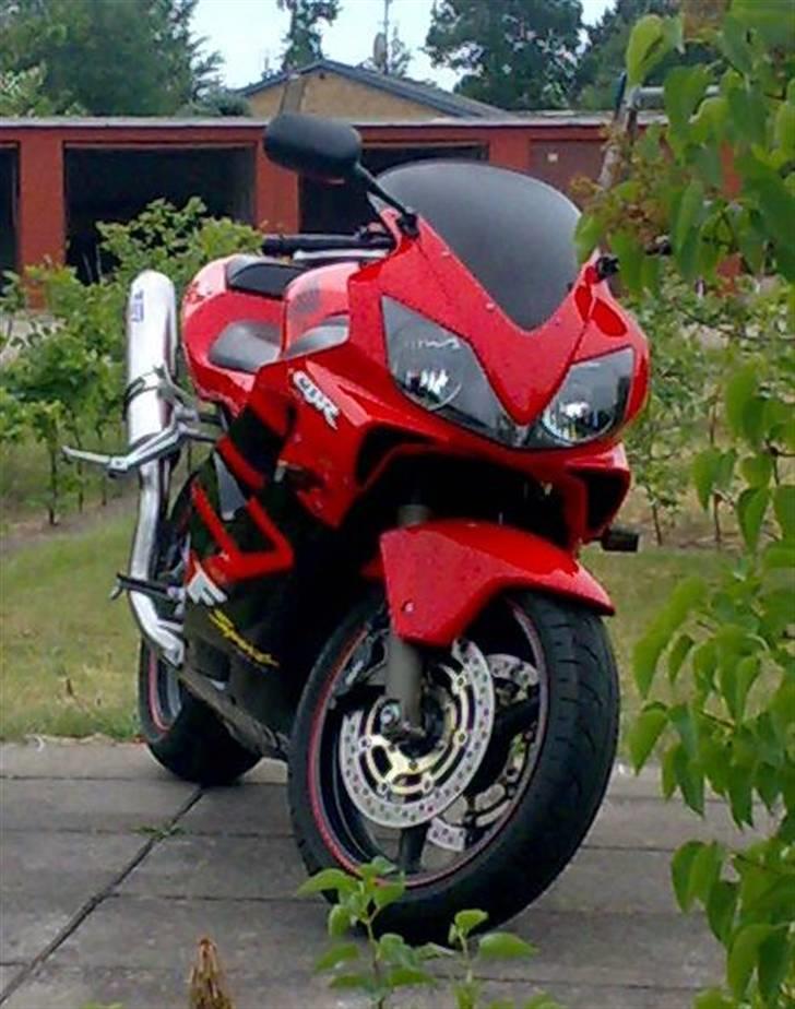 Honda CBR 600F Sport R.I.P. billede 1