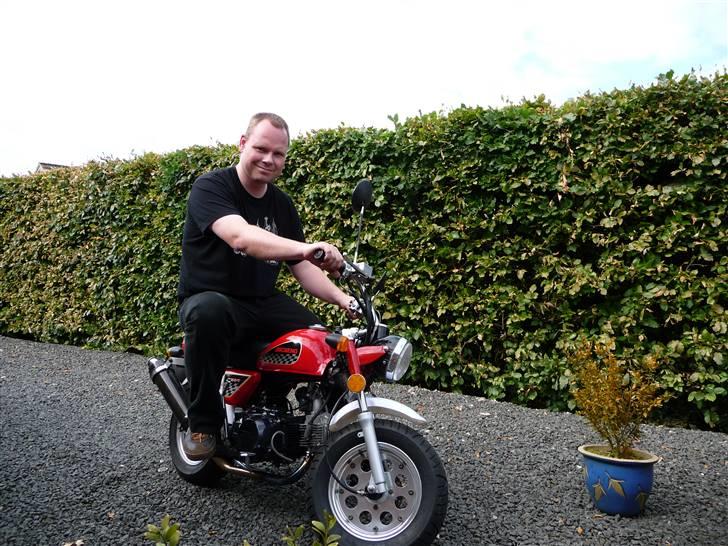 Jincheng Monkey 140 ccm Monster - SOLGT - Den stolte ejer billede 16