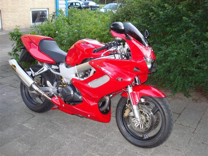 Honda vtr 1000 R.I.P billede 6
