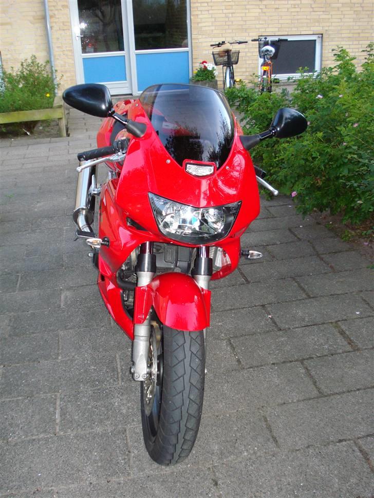 Honda vtr 1000 R.I.P billede 7