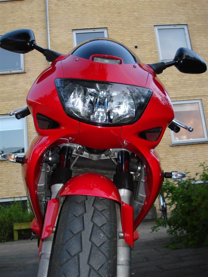 Honda vtr 1000 R.I.P billede 9