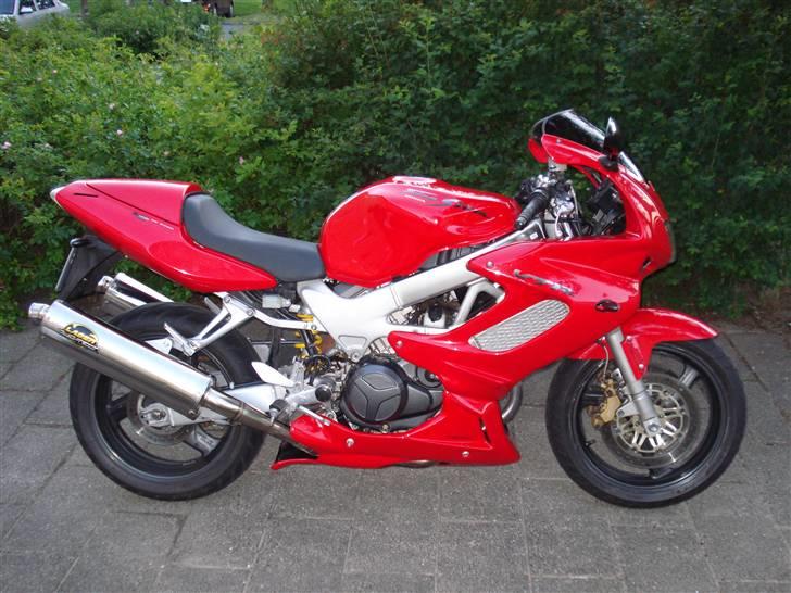 Honda vtr 1000 R.I.P billede 10