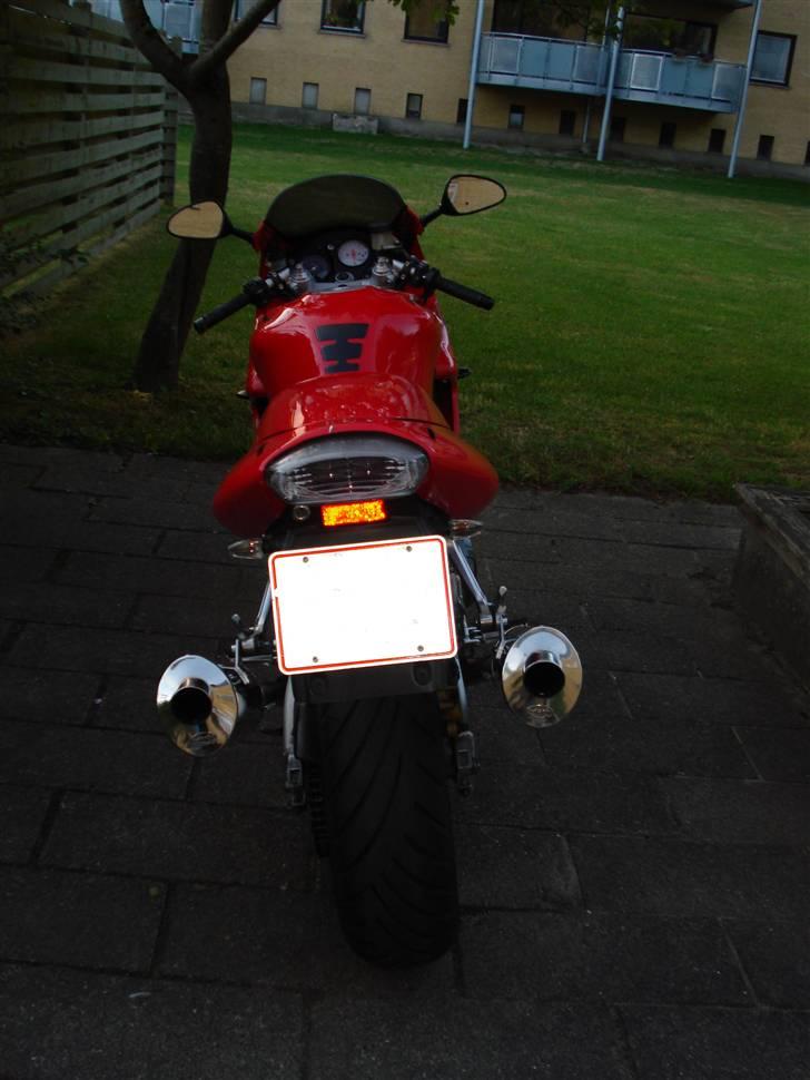 Honda vtr 1000 R.I.P billede 11