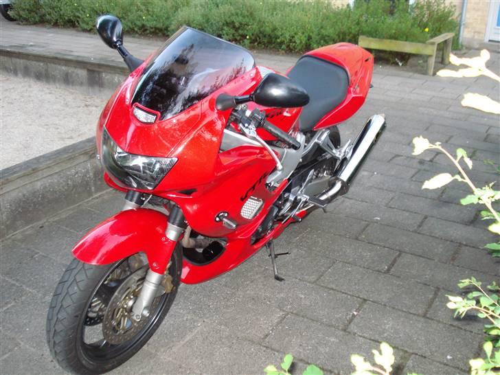 Honda vtr 1000 R.I.P billede 12