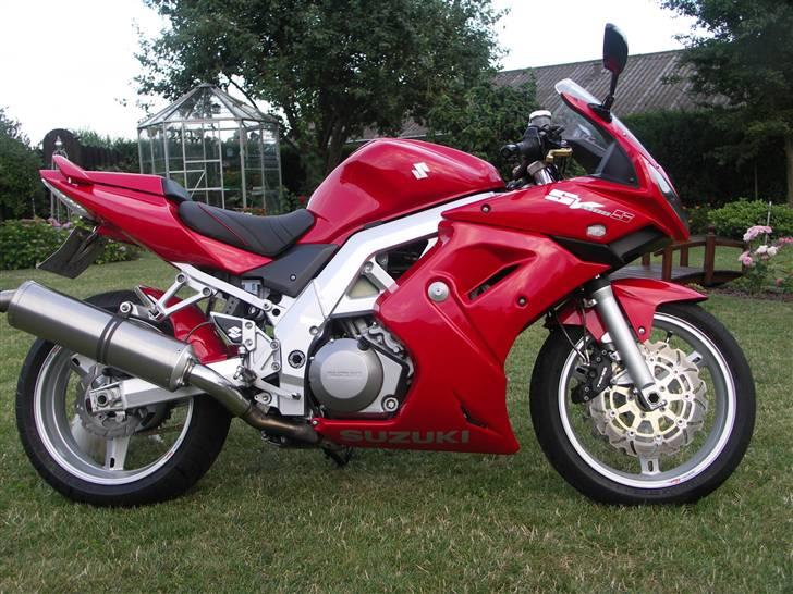 Suzuki  "SOLGT" SV1000S - SV,ern giver masser af køreglæde  billede 1