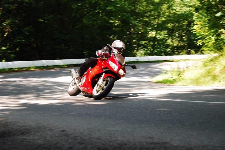 Suzuki  "SOLGT" SV1000S - Den ligger bare perfekt i svingene billede 7