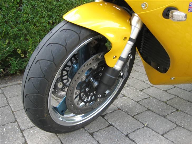 Triumph T595 billede 1