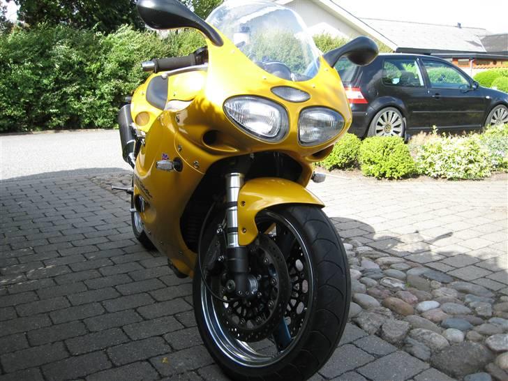Triumph T595 billede 2