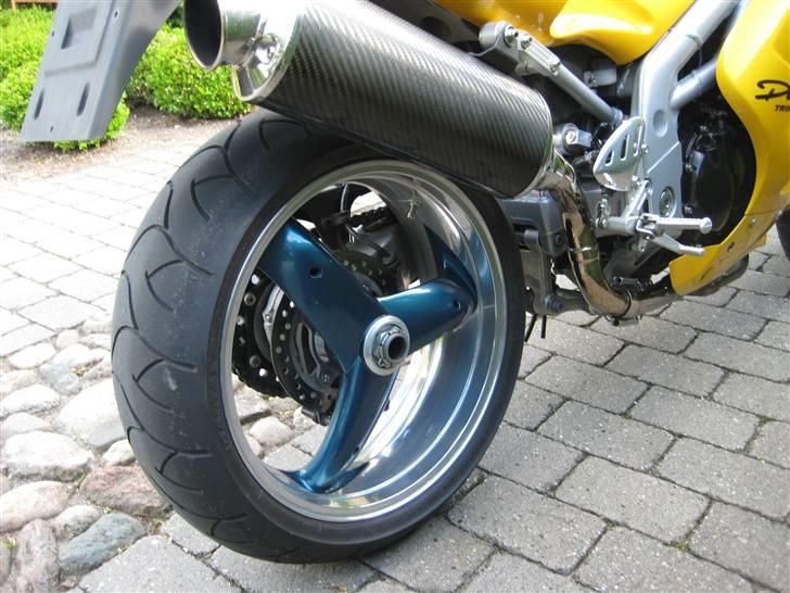 Triumph T595 billede 8