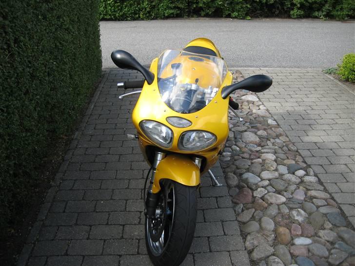 Triumph T595 billede 10