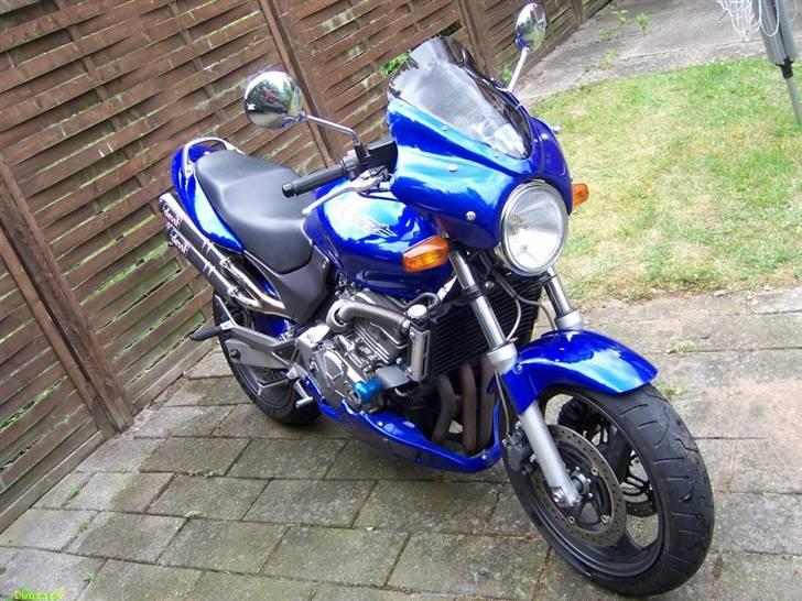 Honda CB 600 F Hornet billede 1