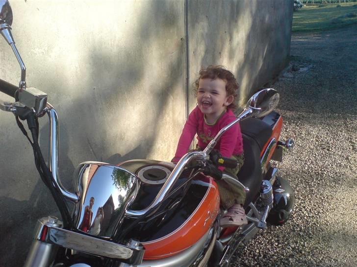 Hyosung gv650 billede 2