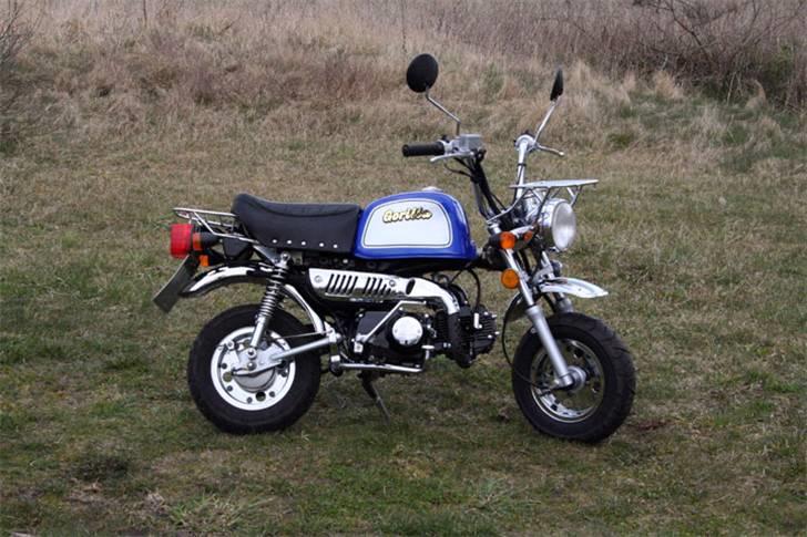 Jincheng Gorilla 90 - Gorilla version 2 billede 1