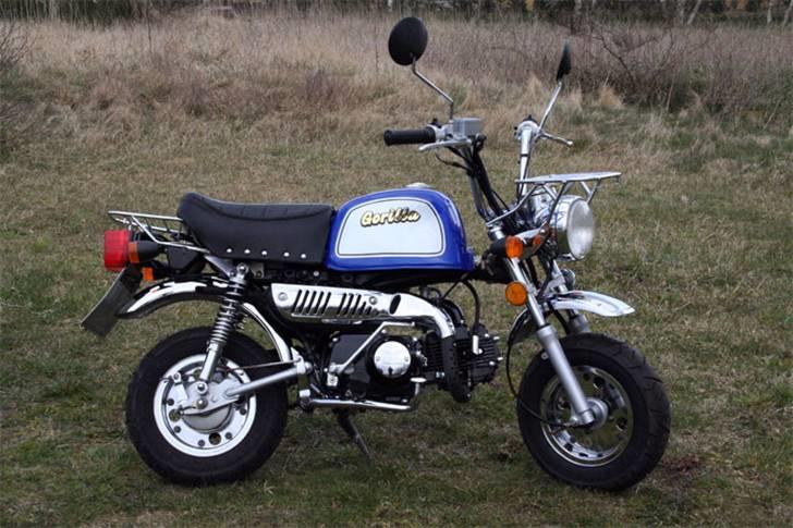 Jincheng Gorilla 90 - Gorilla version 2 billede 2