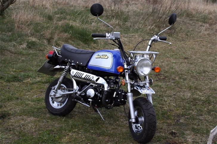 Jincheng Gorilla 90 - Gorilla Version 2 billede 3