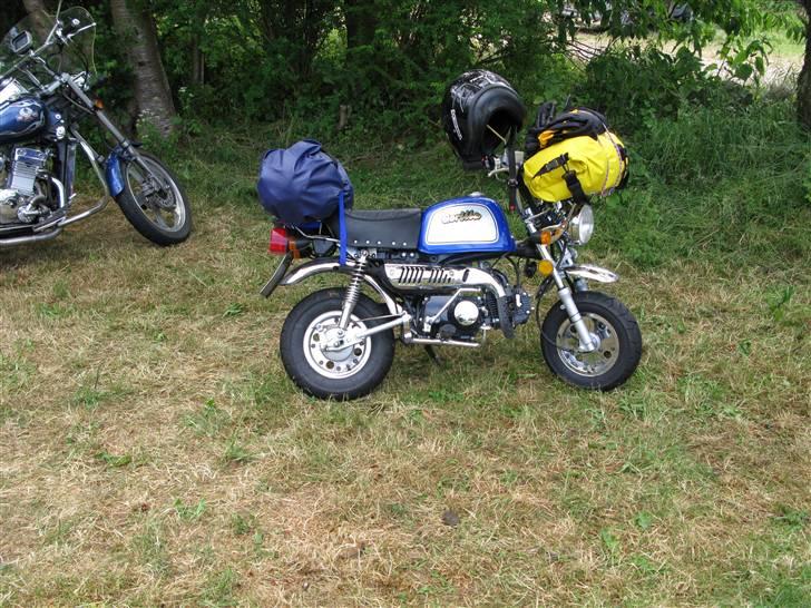 Jincheng Gorilla 90 - Gorilla Til Træf på Sjælland billede 5