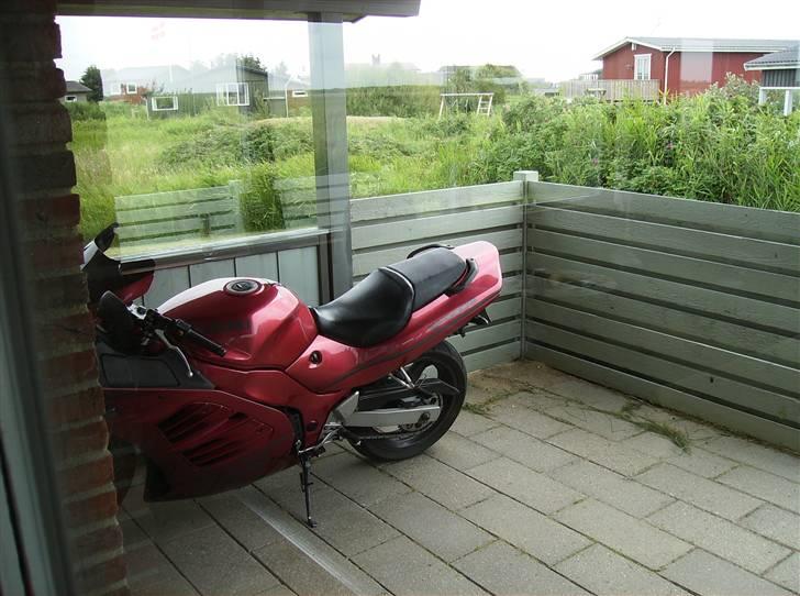 Suzuki RF 400 billede 2